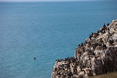 《OPUS：心相吾山》确认亮相东京电玩展2025 中文版官网将于9月17日正式上线